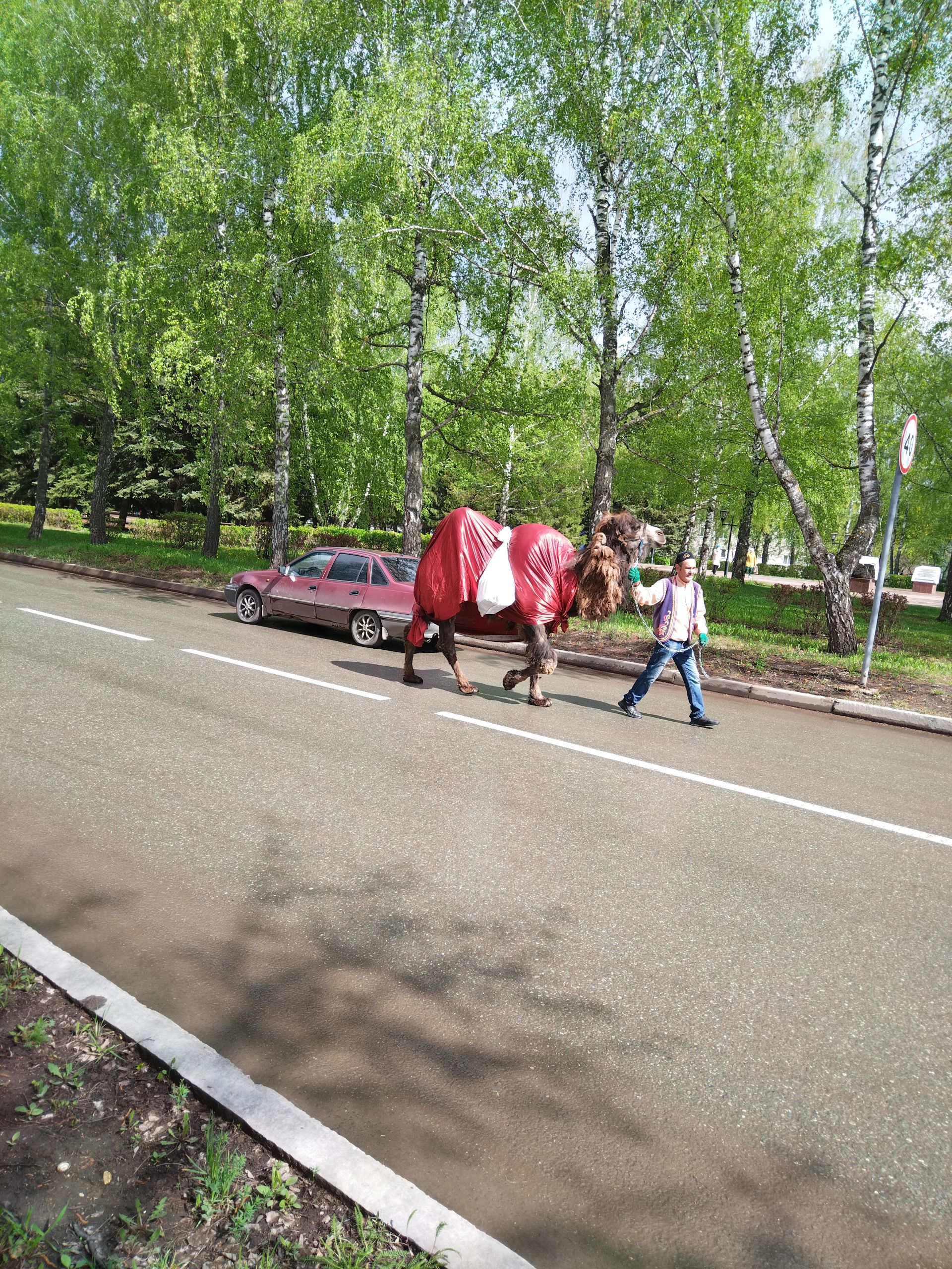 Лениногорскига ат-автомобиль йөреше делегациясе килде (+фотолар)