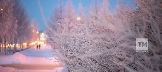 Мәгариф министрлыгы салкында мәктәпләрдә дәресләрне кичектерү тәртибе турында аңлатты