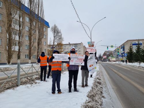 Лениногорскиның политехник колледж студентлары “Безопасный переход” акциясенә кушылды (+фотолар)