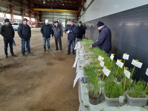 Лениногорск аграрийлары язгы чәчүгә әзерлек турында сөйләште
