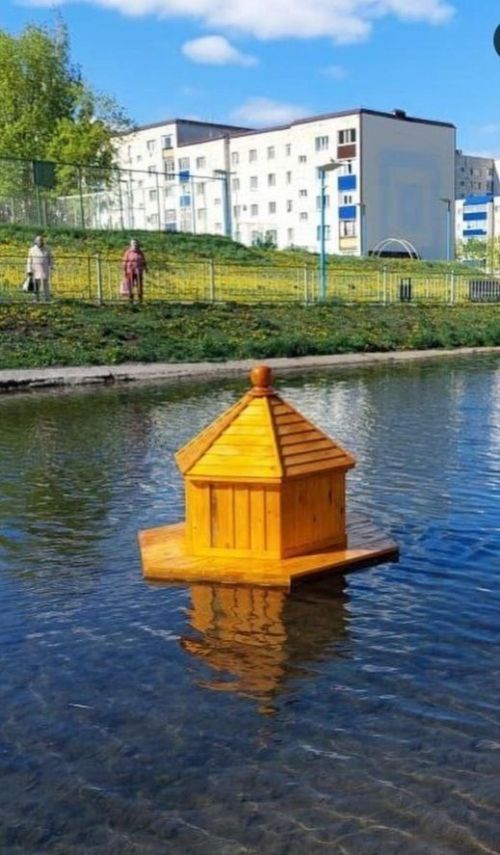 Лениногорск күлендә үрдәкләр өчен оя барлыкка килде