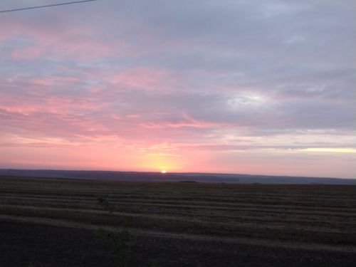 Җәен Татарстанда корылыкның көтелү-көтелмәвен әйткәннәр