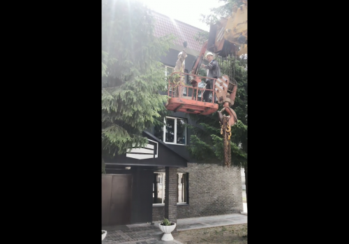 Лениногорскида оясыннан егылып төшкән ябалак баласын коткарганнар