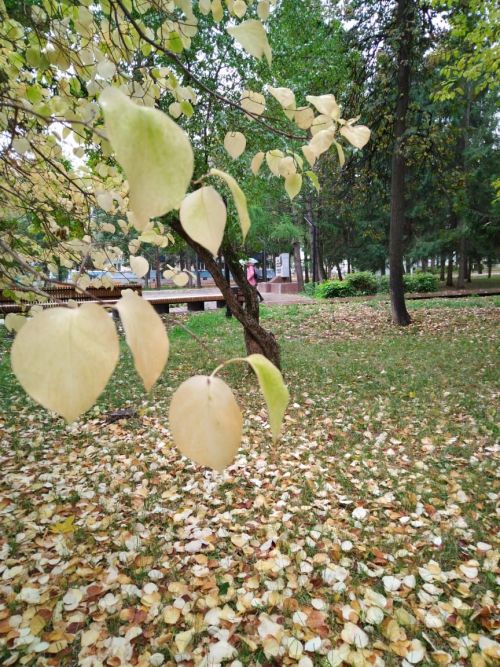 Лениногорскида бу атнага һава торышы