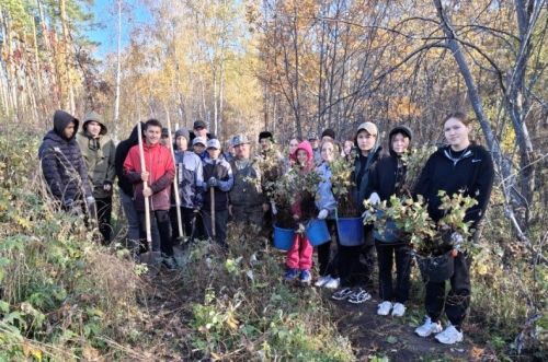 Иске Иштирәк мәктәбенең «Яшь урманчылар»ы  урман утырта, чистарта