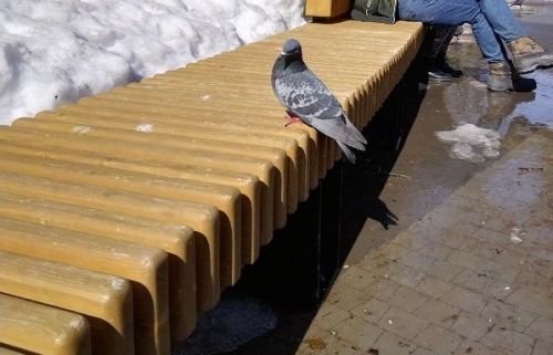 Ноябрьдә халык сынамышлары