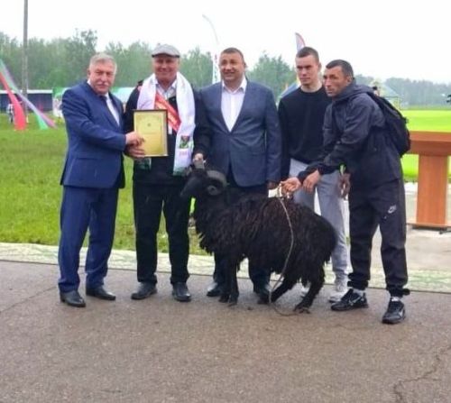 «Сабантуй - 2024» Лениногорск (+фото һәм видео)