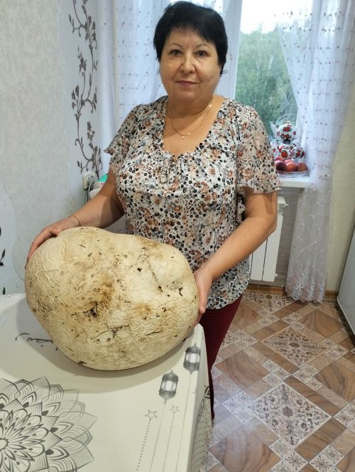 Куакбаш авылында гигант гөмбәгә тап булганнар