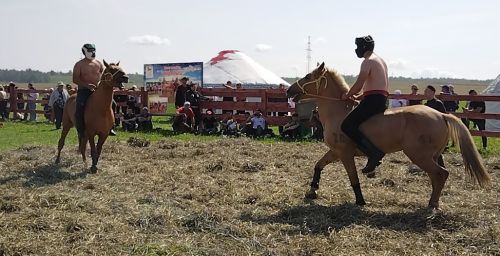Лениногорскида «Татар аты» фестивале узды (+фотолар)