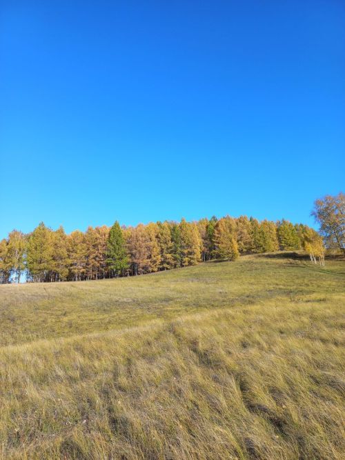 Сентябрь аенда нинди һава торышы көтелә?