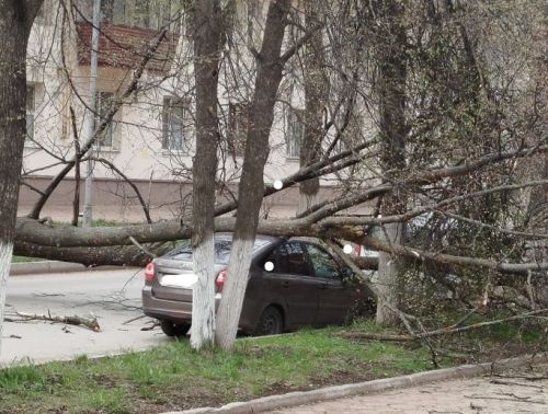 Лениногорскида җил агачны машина өстенә аударган