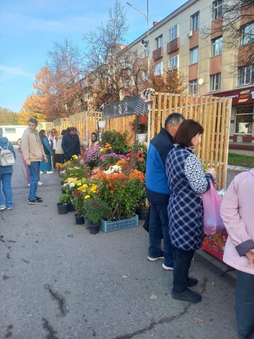 Шәһәрлеләргә – авыл ризыклары: Лениногорскида ярминкәләр дәвам итә