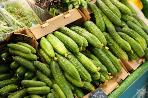 Татарстанда кыяр һәм балалар ризыгы арзанайды