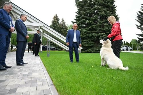 Бердымөхәммәдовка Миңнехановка бүләк ителгән этнең ничек үскәнен күрсәттеләр