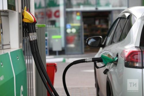 Авыл хуҗалыгы министры аграрийларга кимендә ун көнлек запас ягулык булдырырга тәкъдим итте