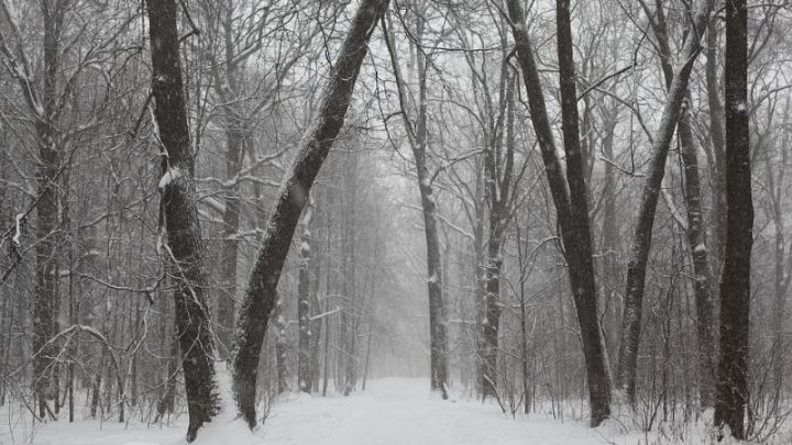 Татарстанда буран һәм көчле җил көтелә