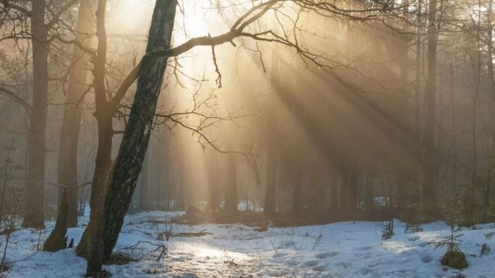 Лениногорскилылар өчен  2 апрельгә торышы