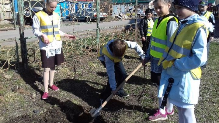 Лениногорск укучылары агач утыртуда актив катнаша