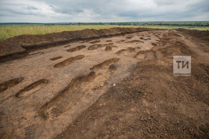 Галим: Аксубай районындагы каберлектә гигант кешеләр түгел, җирле халык күмелгән