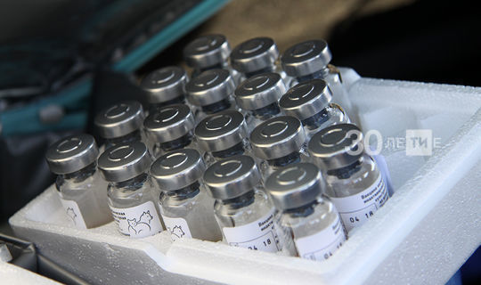 Вирусолог: Covid-19 мең тапкыр вакцинага караганда куркынычрак
