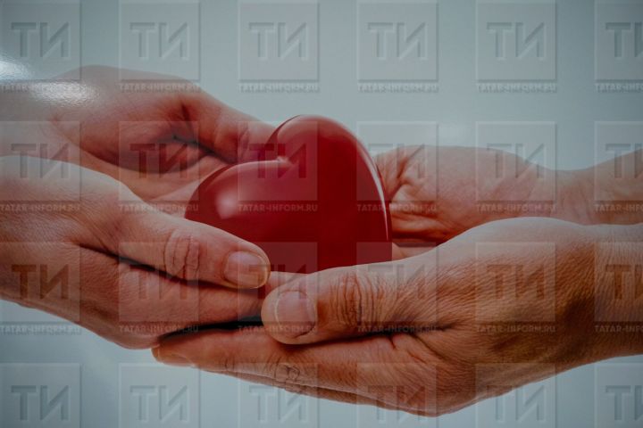 «Иремне сөяркәсеннән тартып алдым»