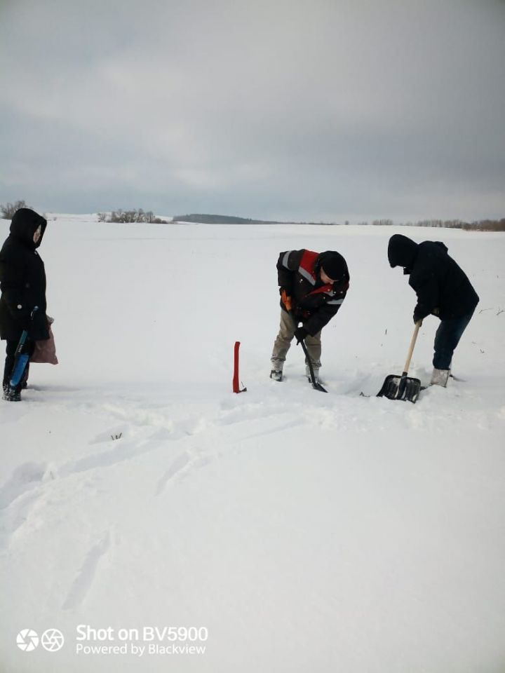 Район кырларында уҗымнарның торышы буенча февраль аена күзәтү ясадылар