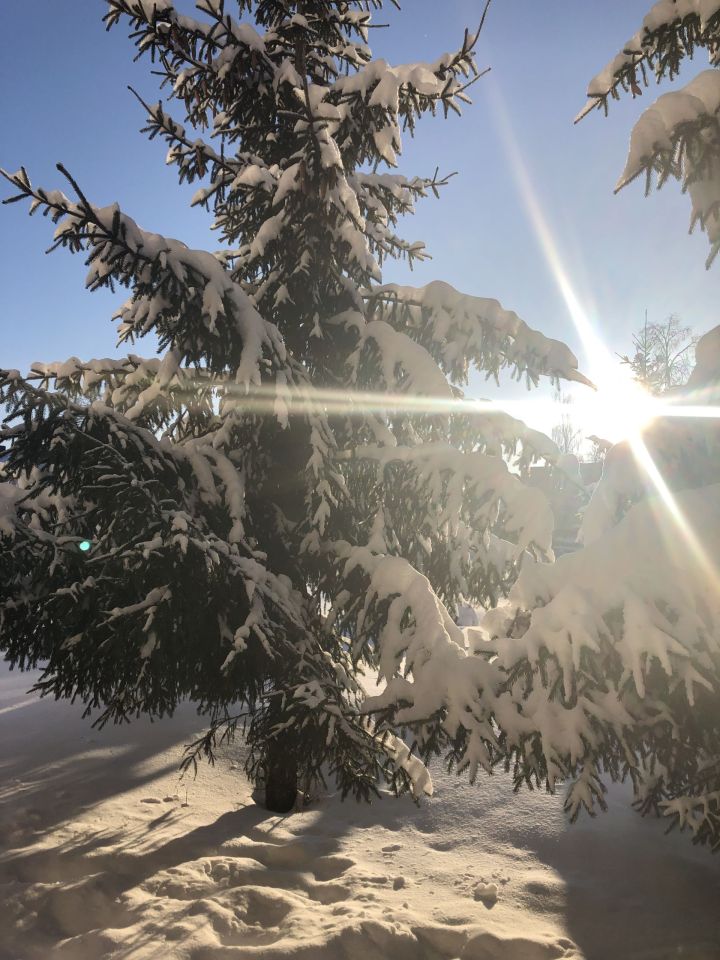 Лениногорскида бу атнага һава торышы: -25 градуска кадәр суыта