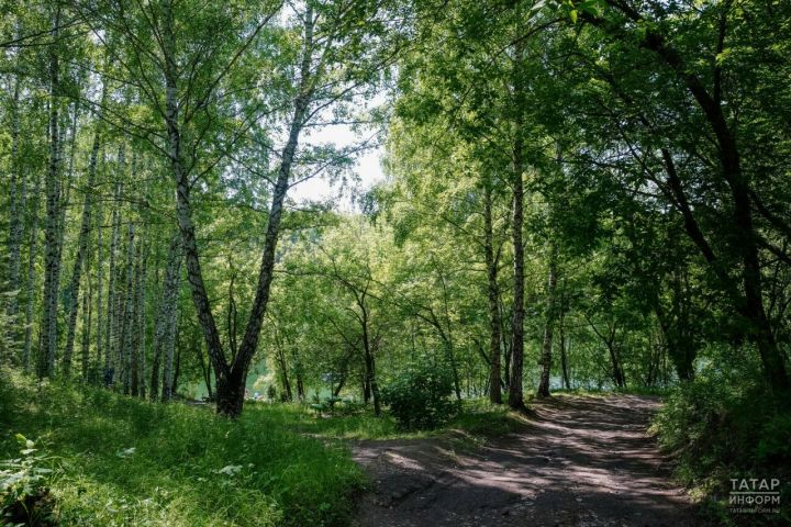 Лениногорск урманнарында янгын чыгу куркынычы югары