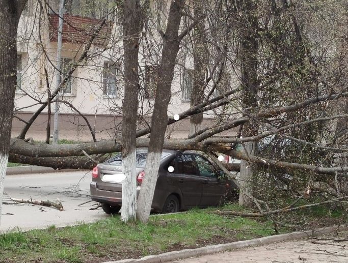 Лениногорскида җил агачны машина өстенә аударган