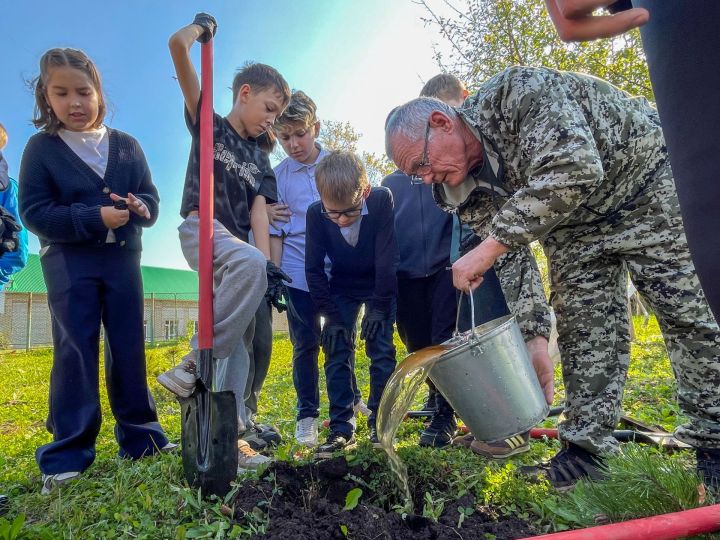 Экокөндәлек киләчәк өчен: мәктәп укучылары урманнарны тикшерүдә катнаша