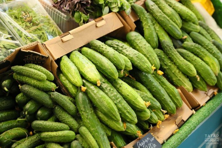 Татарстанда кыяр һәм балалар ризыгы арзанайды