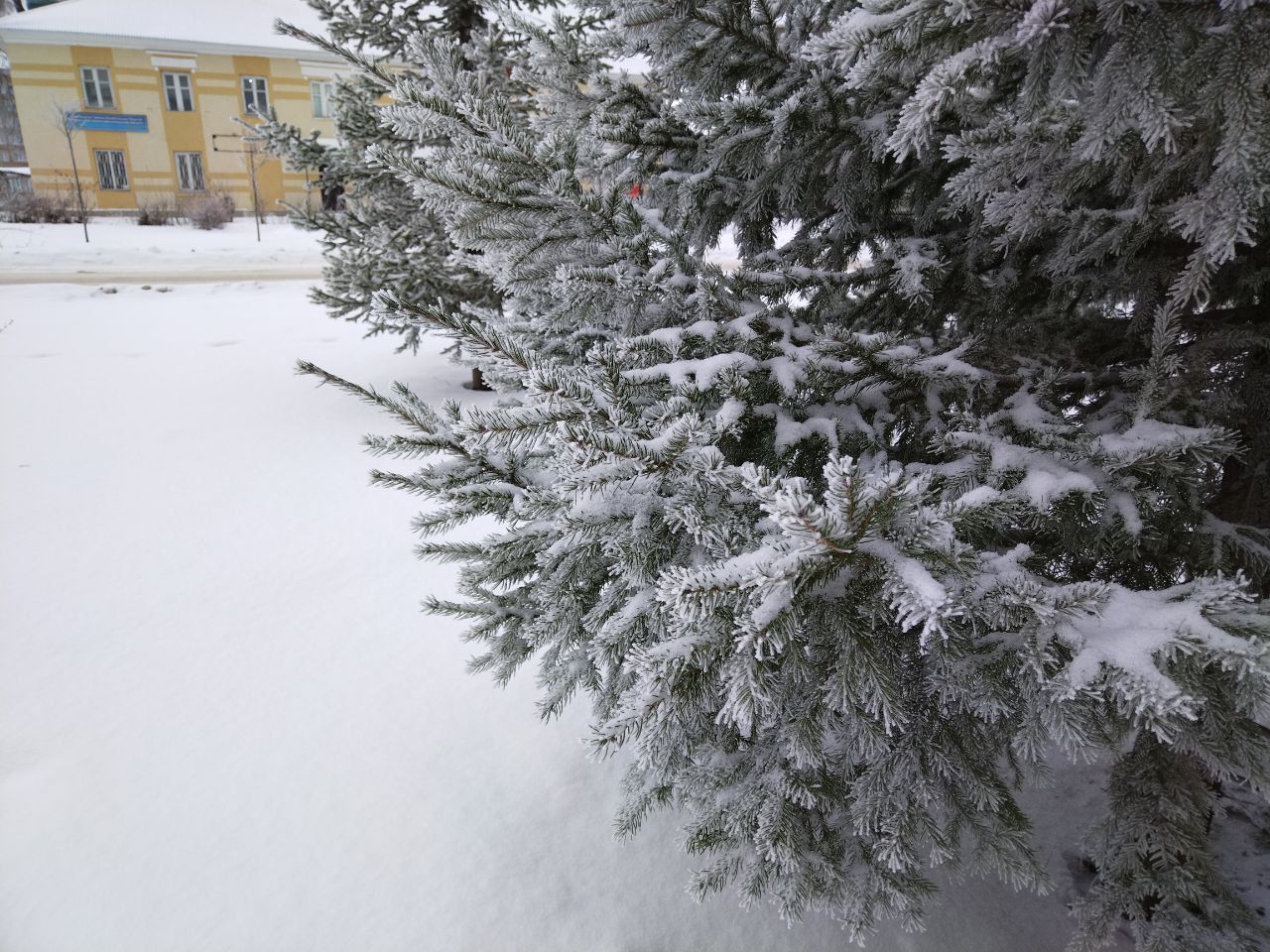 Лениногорскида алдагы көннәргә һава торышы