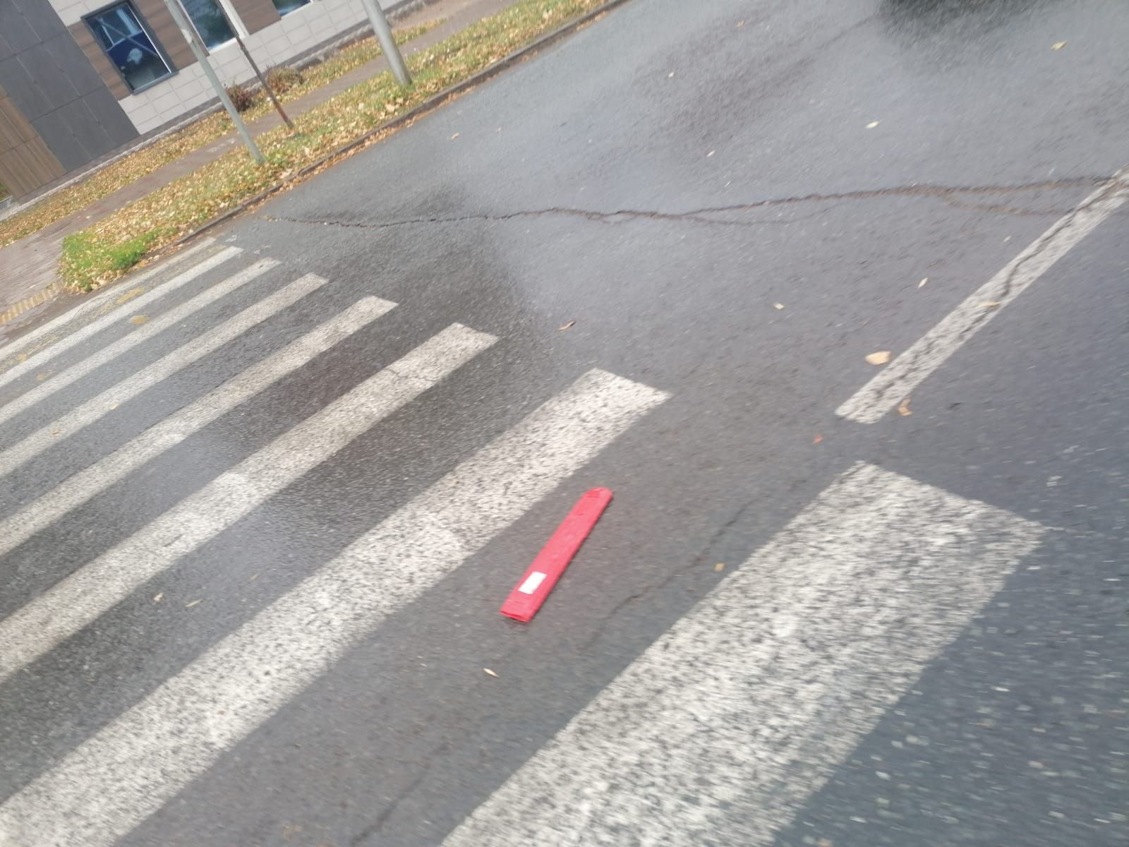 Лениногорскида җәяүлеләр кичүендә 8 яшьлек кызны бәрдергәннәр