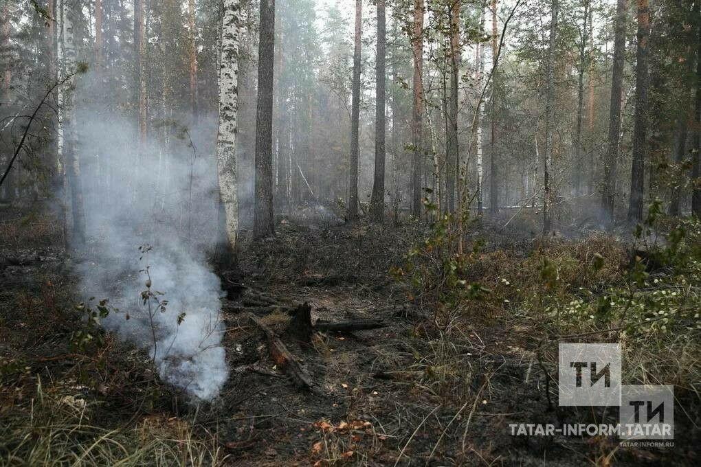 Урманнарда янгын куркынычы югары булу сәбәпле, Татарстанда, шул исәптән Лениногорскида янгын куркынычы саклана
