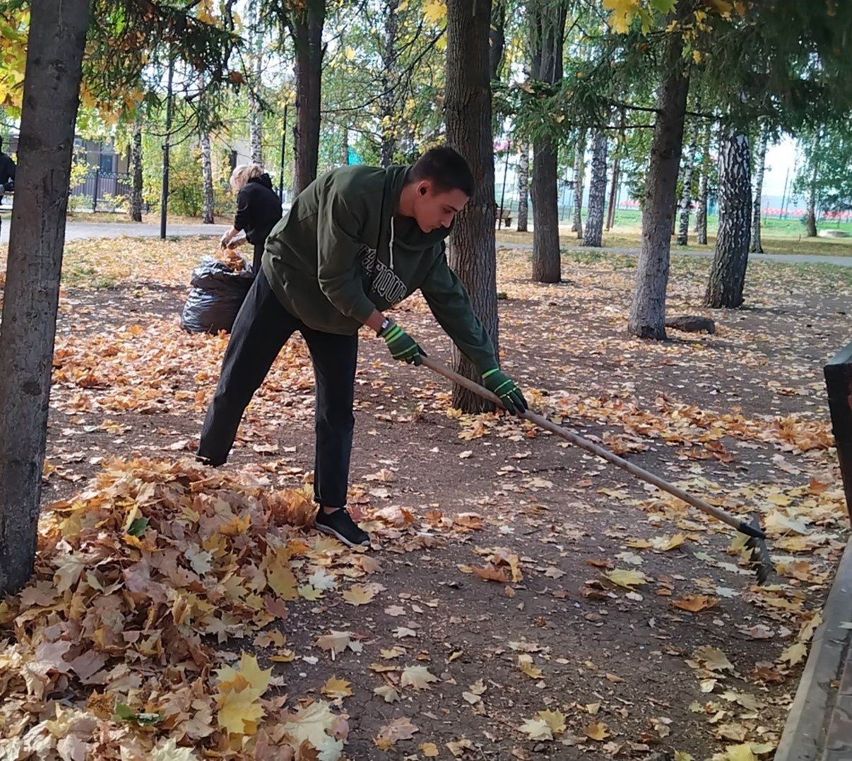 Лениногорскилылар парк территориясен корыган яфраклардан чистарттылар (+фотолар)