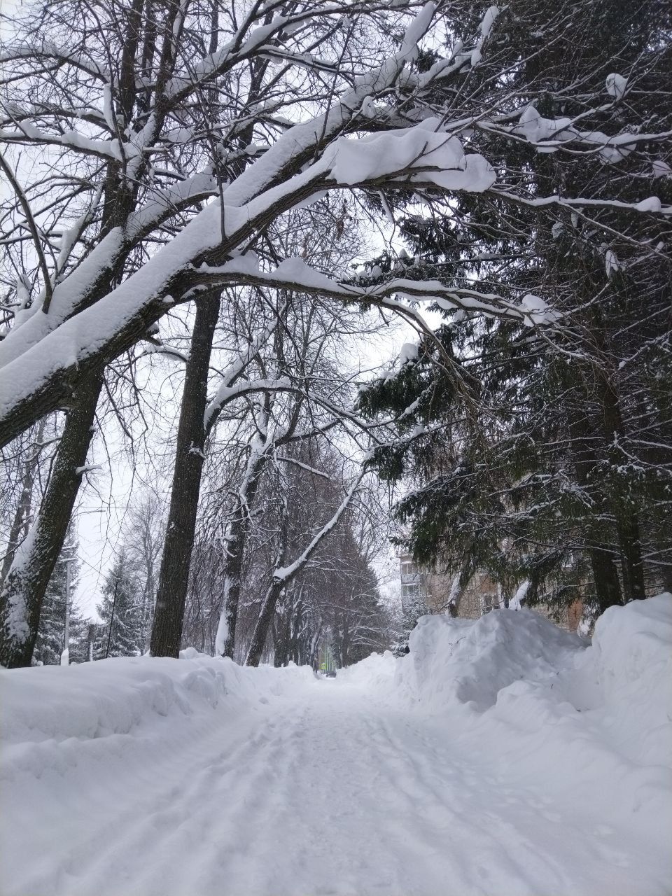 Февраль аена халык сынамышлары