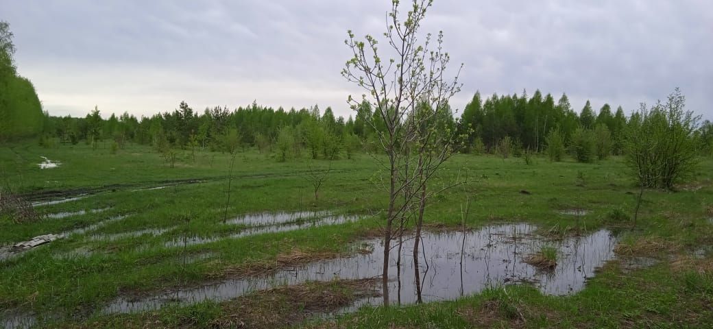 Лениногорскида бу атнага һава торышы: салкын, яңгыр