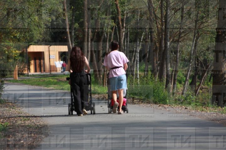 Декрет ялының түләнә торган чорын өч елга кадәр озайтырга тәкъдим иттеләр