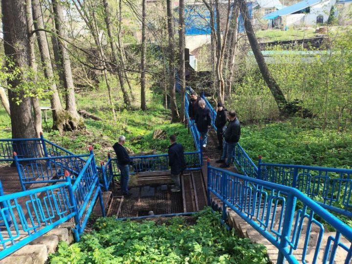 Лениногорскида урман паркындагы  чишмәне төзекләндерәчәкләр
