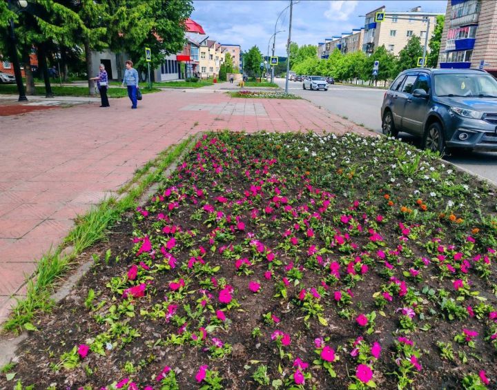 Лениногорскида 27 мең төптән артык чәчәкләр утыртачаклар