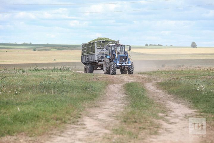 Лениногорск районында яшәүче 500дән артык кеше озак еллар авыл хуҗалыгында эшләп стаж туплаган өчен өстәмә түләү ала