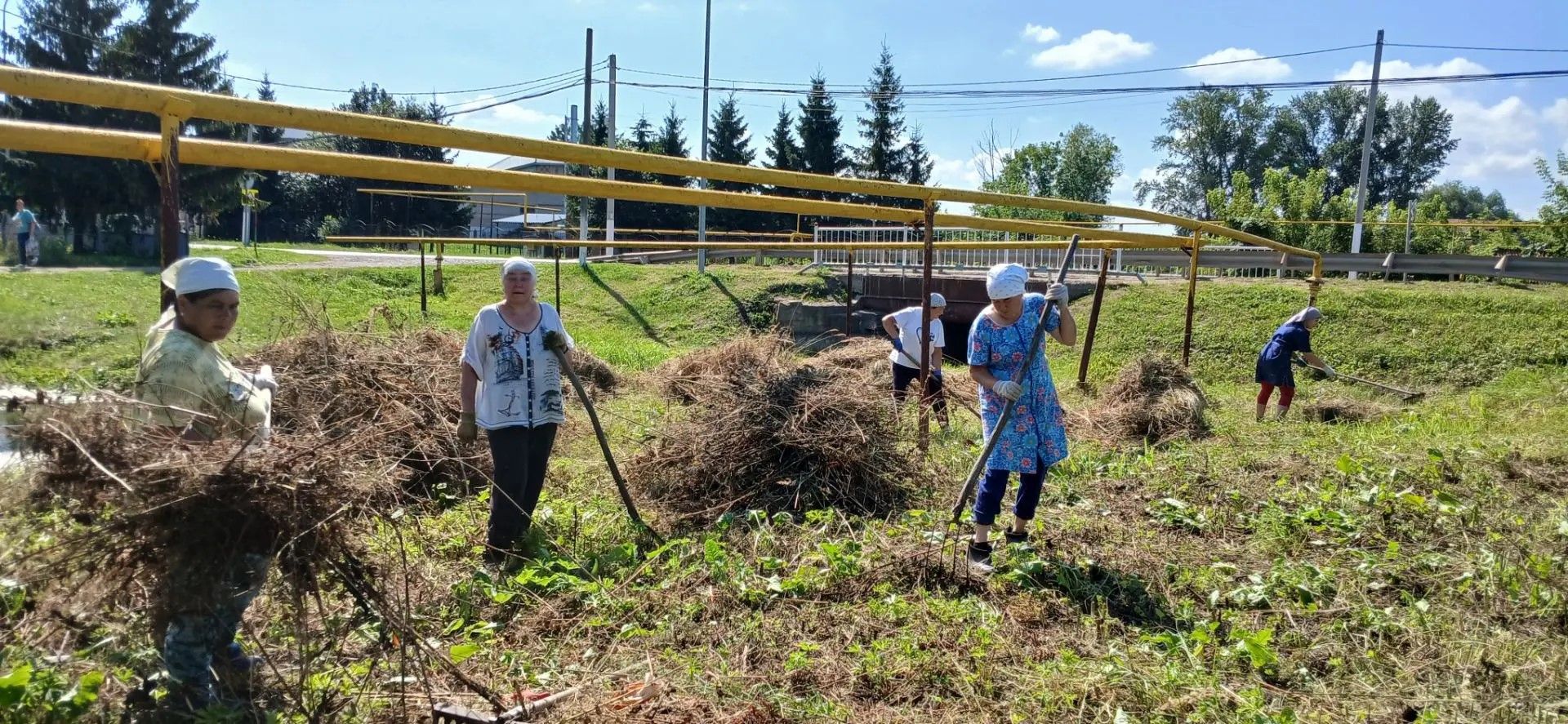Иске Шөгер авылының уңган ханымнары авылны чисталыкта тотарга тырыша