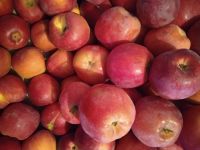 Корица белән алма пирогы рецепты