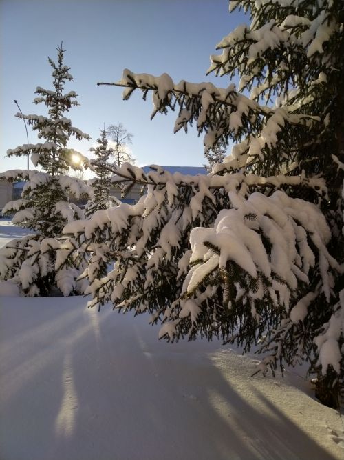 Лениногорскида һава торышы: -15 градус, салкын җил