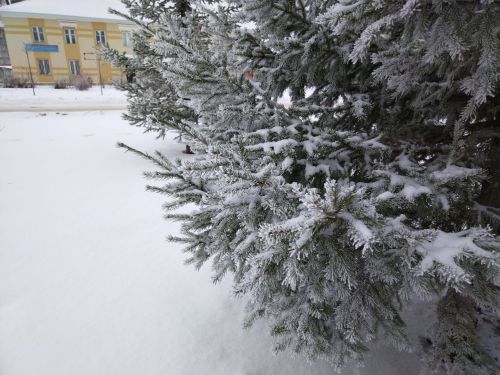 Лениногорскида алдагы көннәргә һава торышы