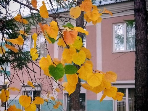 Лениногорскида һава торышы: көчле җил