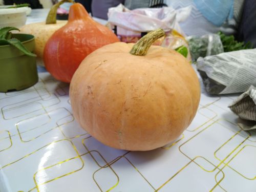 Кабактан пирог әзерлибез