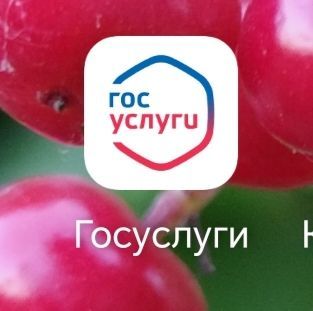 Мошенниклар Дәүләт хезмәтләре порталы хезмәткәрләре исеменнән шалтырата башлаган