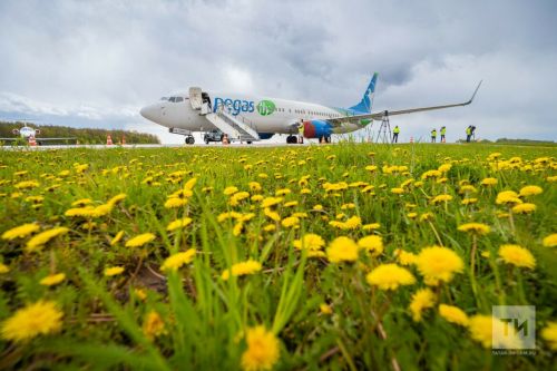 Отпуск алуга үзгәрешләр кертергә тәкъдим итәләр