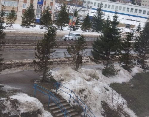 Лениногорскида бүгенгә һава торышы